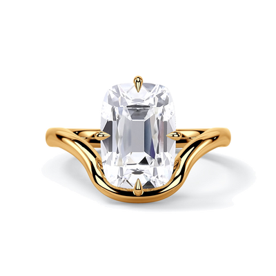 The Karli, top view